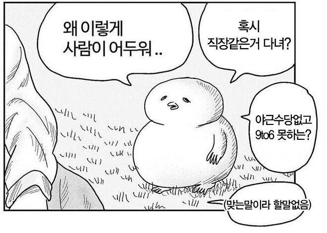 스트리머 롤 대회같은거 보면서 느낀건데._1.jpg