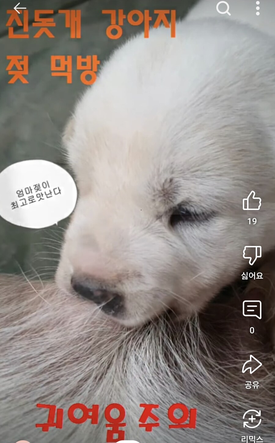 사는거 지친다_1.jpg
