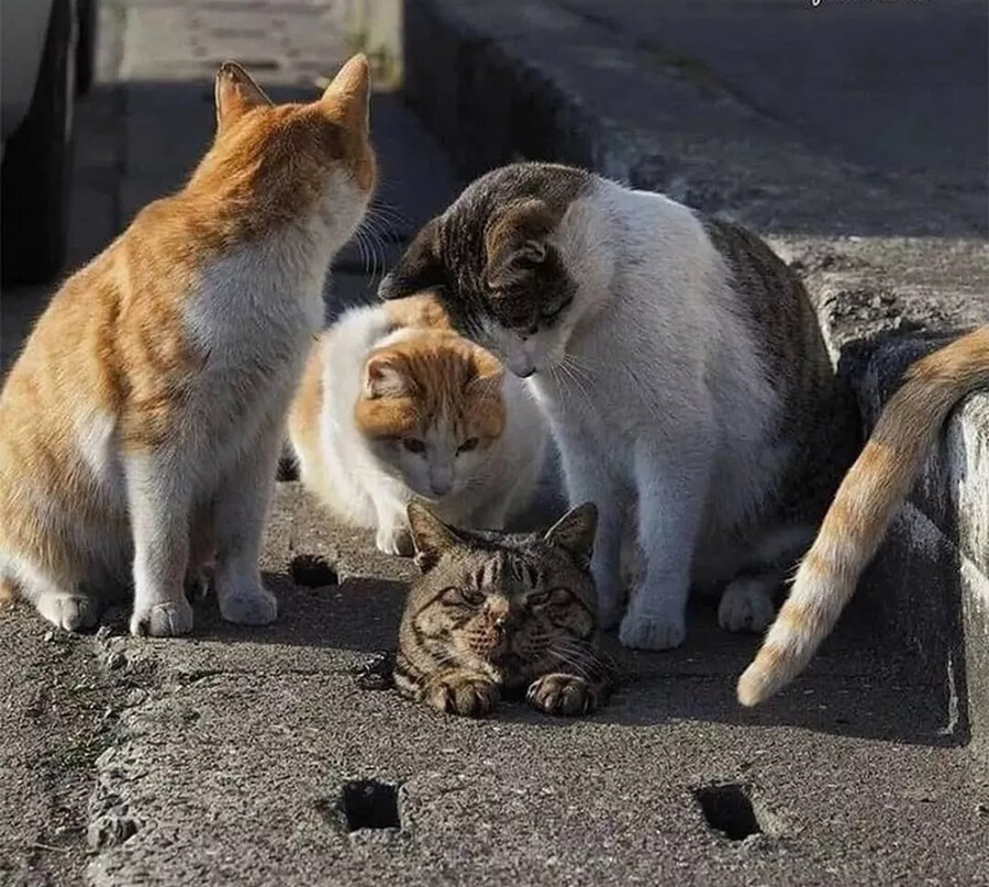 얔ㅋㅋㅋ 이 색키 봐랔ㅋㅋㅋ.jpg_2.jpg