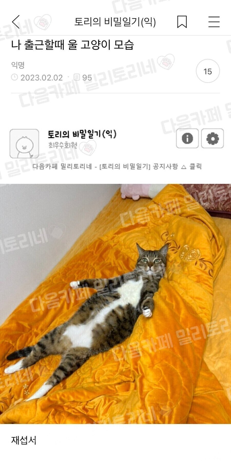 [야옹] "출근하는 집쨔를 바라보는 고양이."_1.jpg