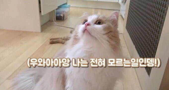 공단 근처 원룸촌인데 불체자 단속 살벌하게 하네_1.jpg