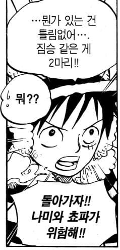 루피가 총명하게 행동할때 모음.onepiece_6.jpg