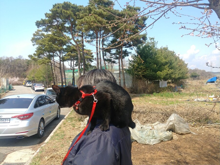 나이먹은게 체감이 확 되는게..._2.jpg