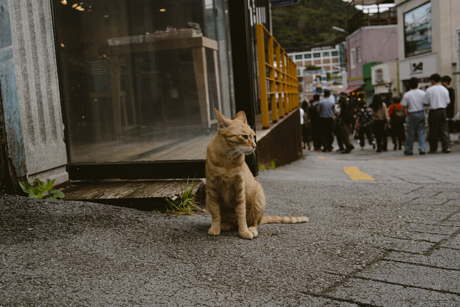 연휴때 부산 다녀왔습니다_6.jpg