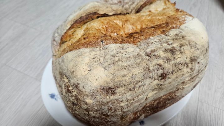 금토만 영업하는 망원 맛도리빵집 하이놀리_6.jpg