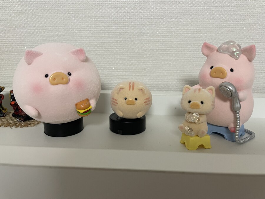 즈이집에 돼지 두 마리가 새로 들어왔슴미다_2.jpg