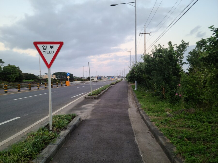 제주 환상 자전거길 234km 도보여행 6일차 完 -스압주의-_12.jpg
