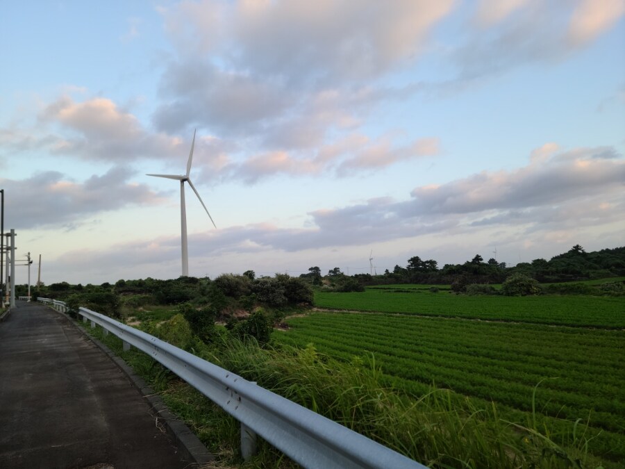 제주 환상 자전거길 234km 도보여행 6일차 完 -스압주의-_15.jpg