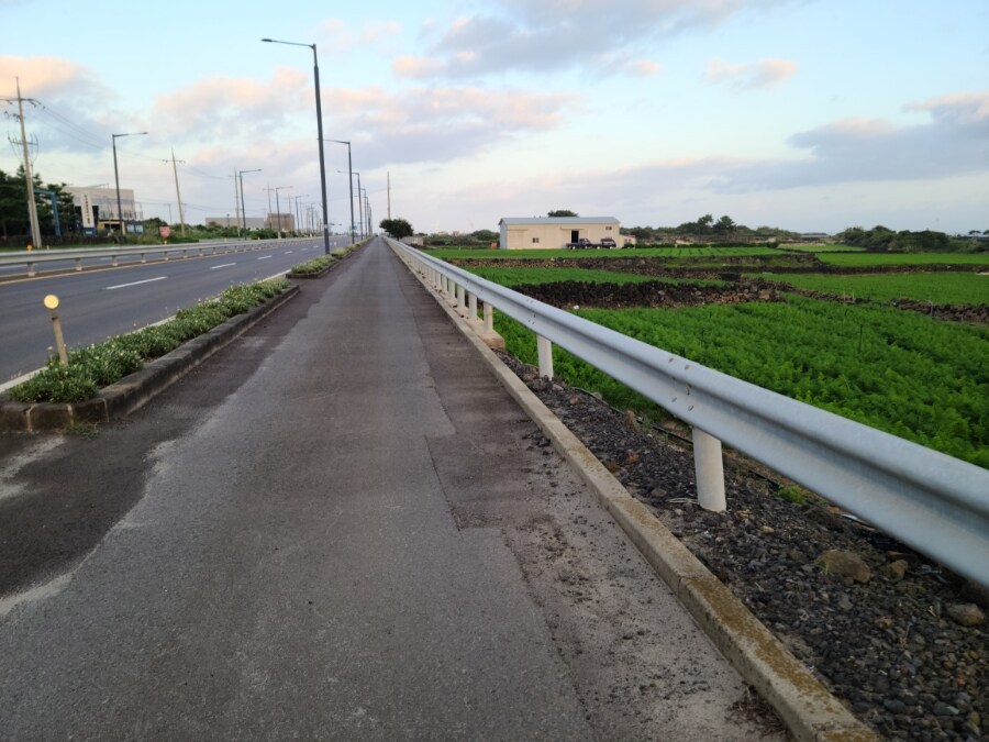 제주 환상 자전거길 234km 도보여행 6일차 完 -스압주의-_17.jpg