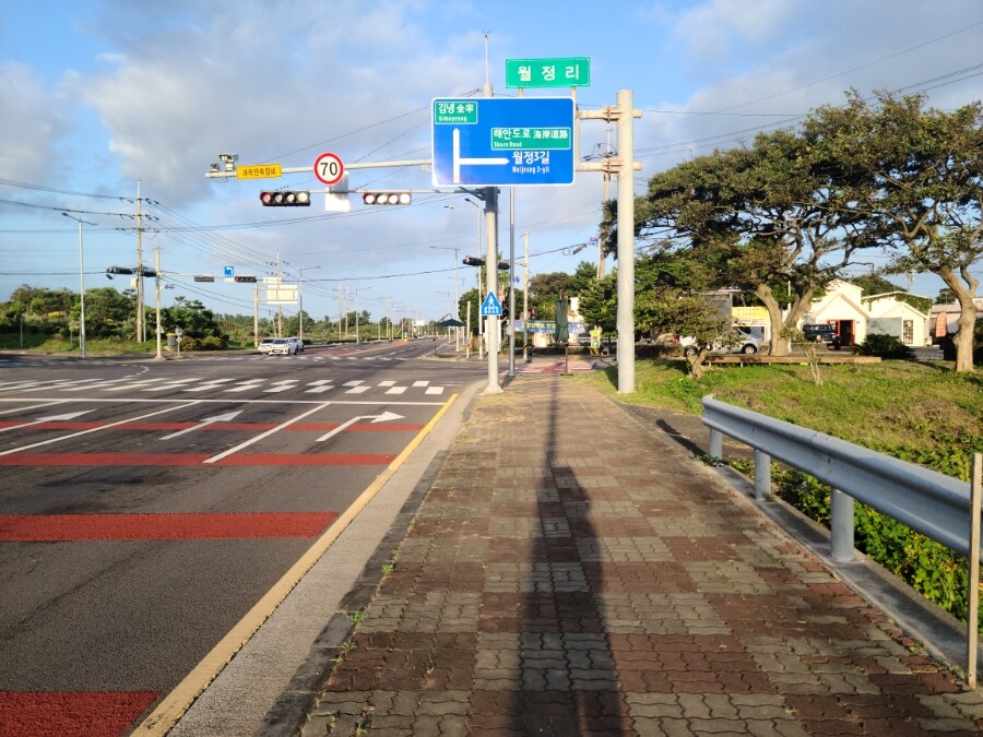 제주 환상 자전거길 234km 도보여행 6일차 完 -스압주의-_28.jpg