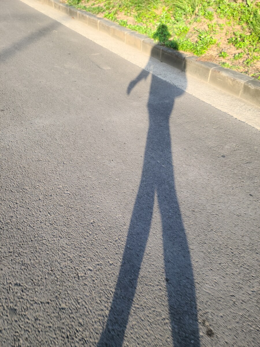 제주 환상 자전거길 234km 도보여행 6일차 完 -스압주의-_33.jpg