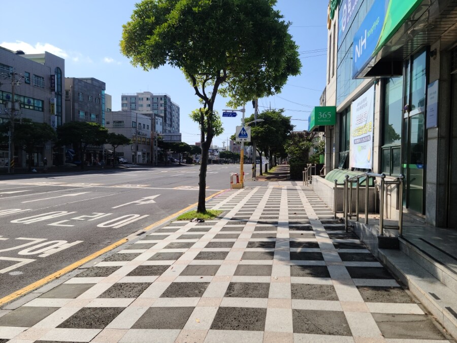 제주 환상 자전거길 234km 도보여행 6일차 完 -스압주의-_124.jpg
