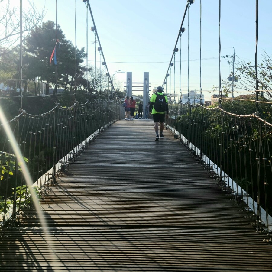 제주 환상 자전거길 234km 도보여행 6일차 完 -스압주의-_139.jpg