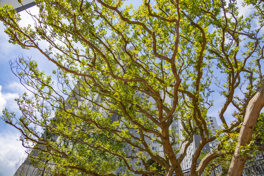 (혼자사는) 25평 아파트 입주 8개월차 (스압)_42.jpg