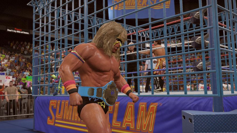 WWE 2K15_6.jpg