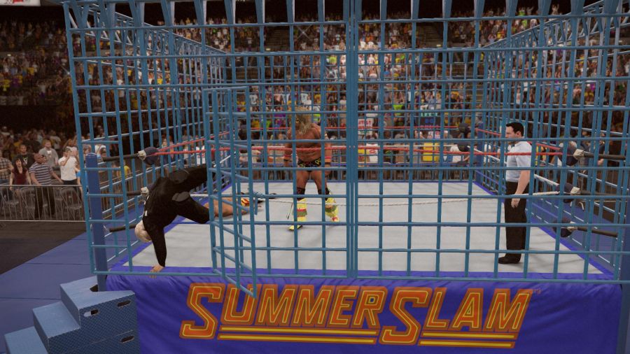 WWE 2K15_23.jpg