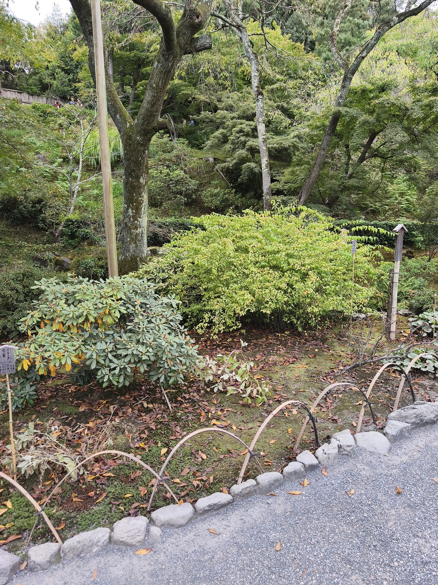 교토 오사카 여행 1_31.jpg