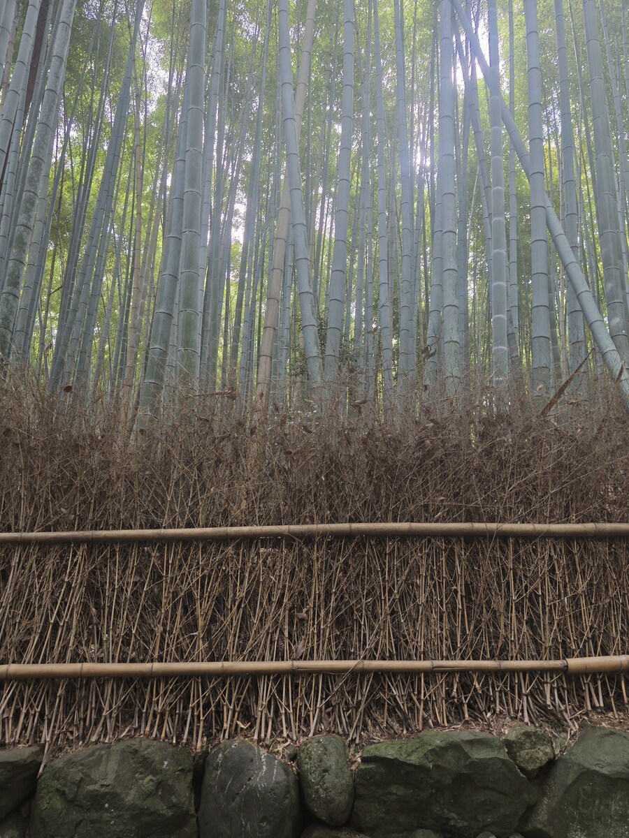 교토 오사카 여행 1_35.jpg