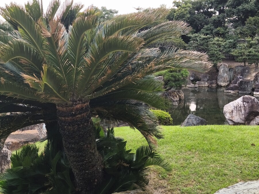 교토 오사카 여행 1_50.jpg