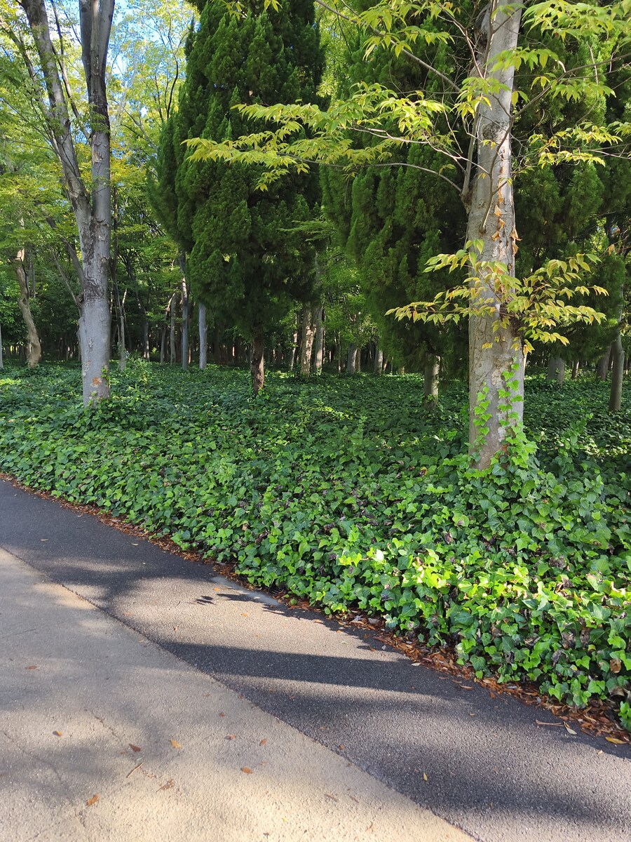 오사카 여행 2_7.jpg