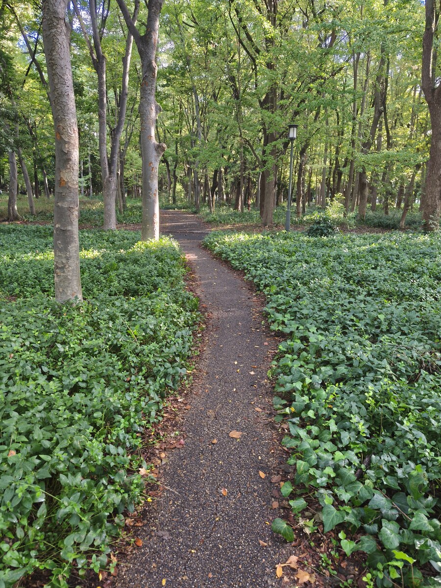 오사카 여행 2_9.jpg