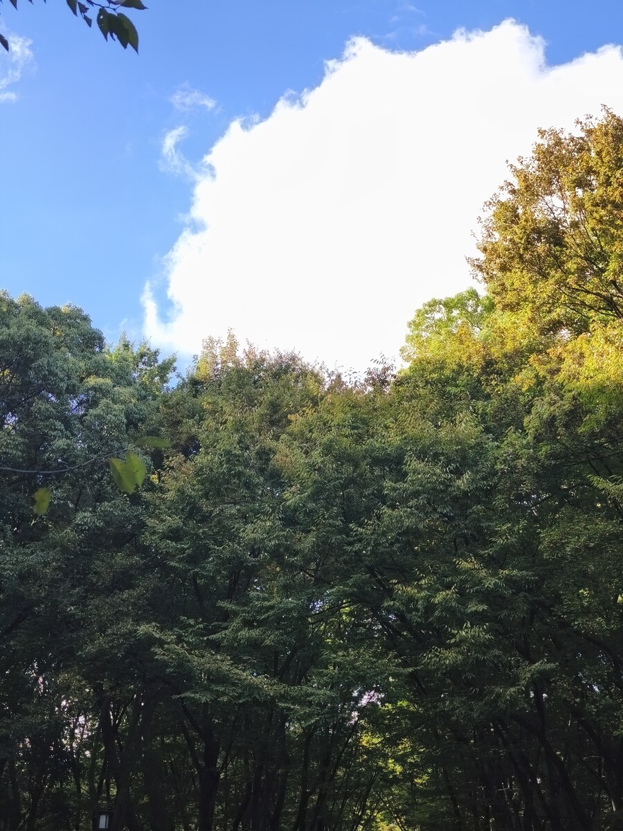 오사카 여행 2_11.jpg