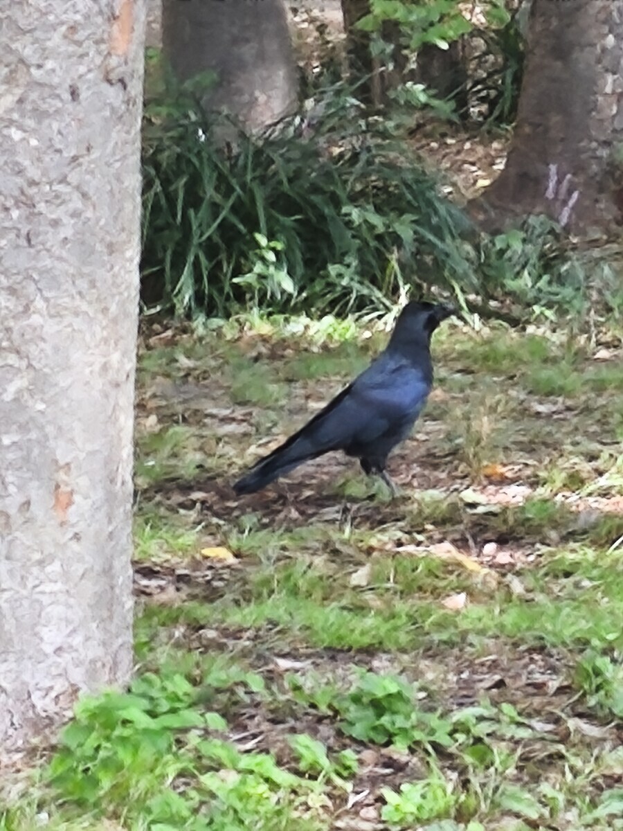 오사카 여행 2_13.jpg