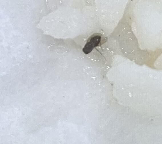 혐)이번 서울여행 시작부터 운이 없네_2.jpg