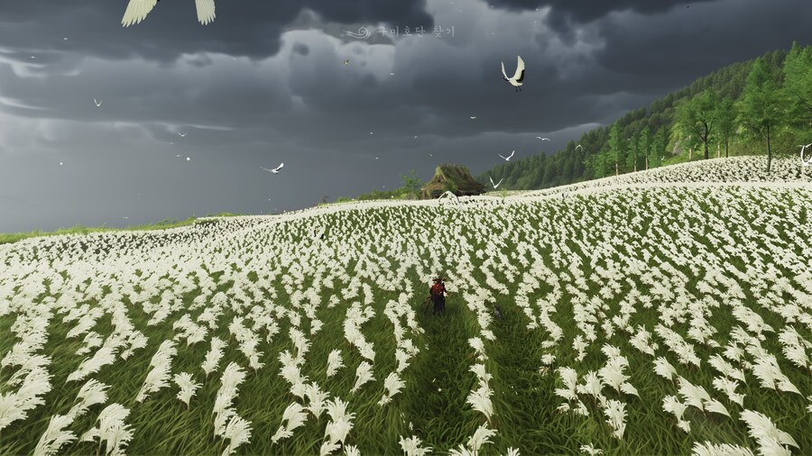 전작에 대한 존중으로 가득한 서브퀘스트 “폭풍도”_7.jpg