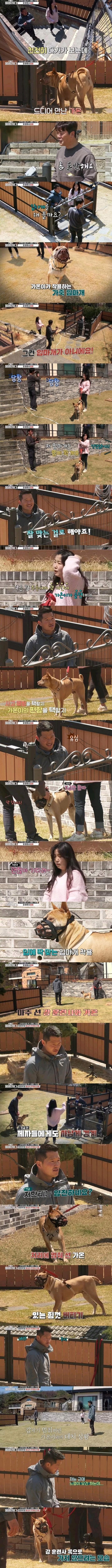 강형욱이 갑작스래 훈련을 포기한 이유.jpg_1.png