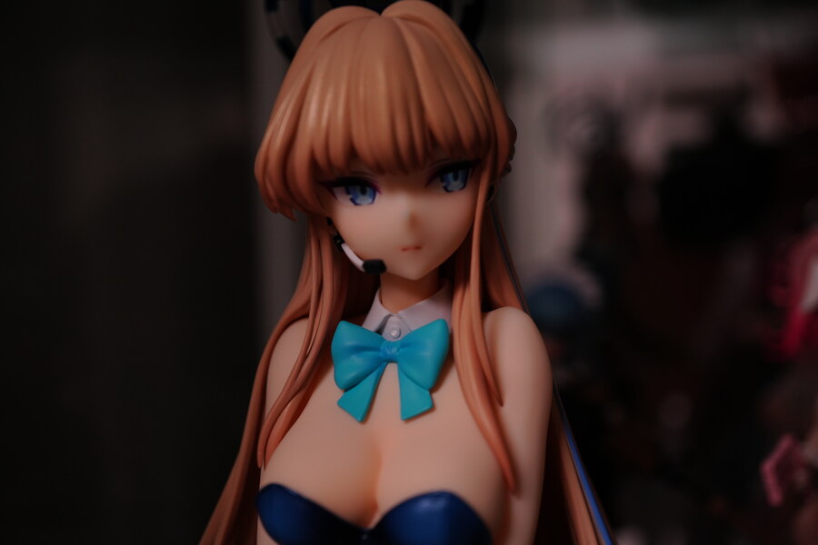 외장 플래시를 하나 구했습니다._2.jpg