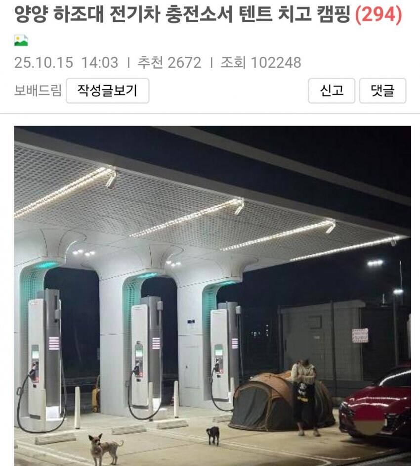 뉴스탄 전기차 충전소 캠핑 강아지 민폐녀 논란 반전_1.jpg