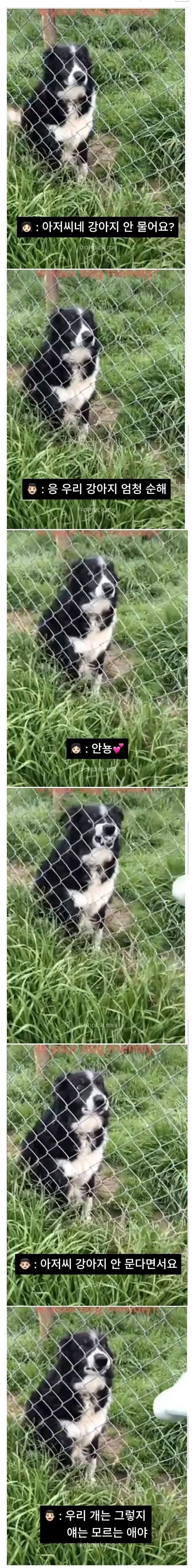 아저씨네 개 안물어요?_1.jpg