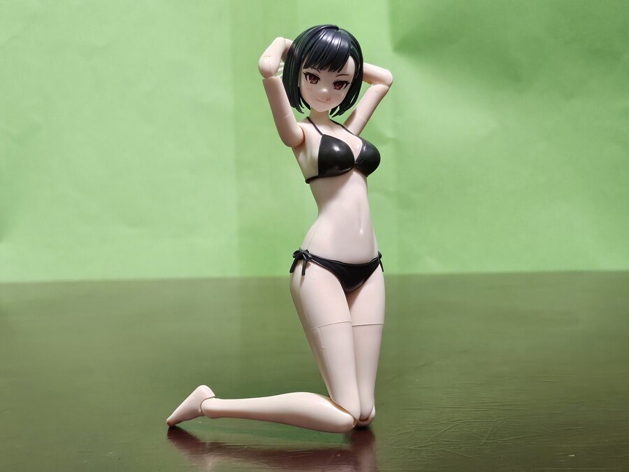 (KOTOBUKIYA) 창채소녀정원 요미 [블랙 캔버스]_251.jpg