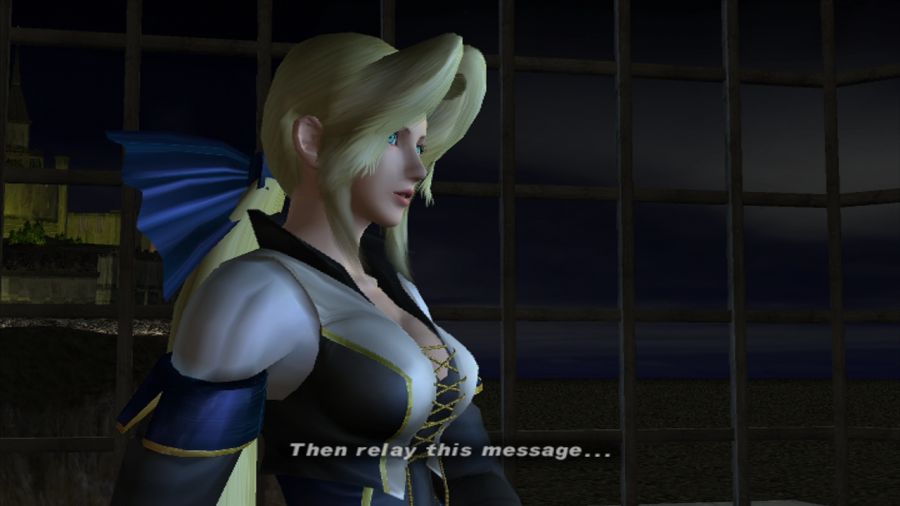 DEAD OR ALIVE 3_7.jpg