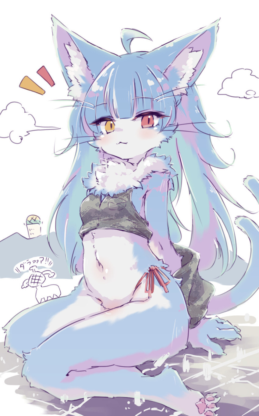 퍼리_2.jpg