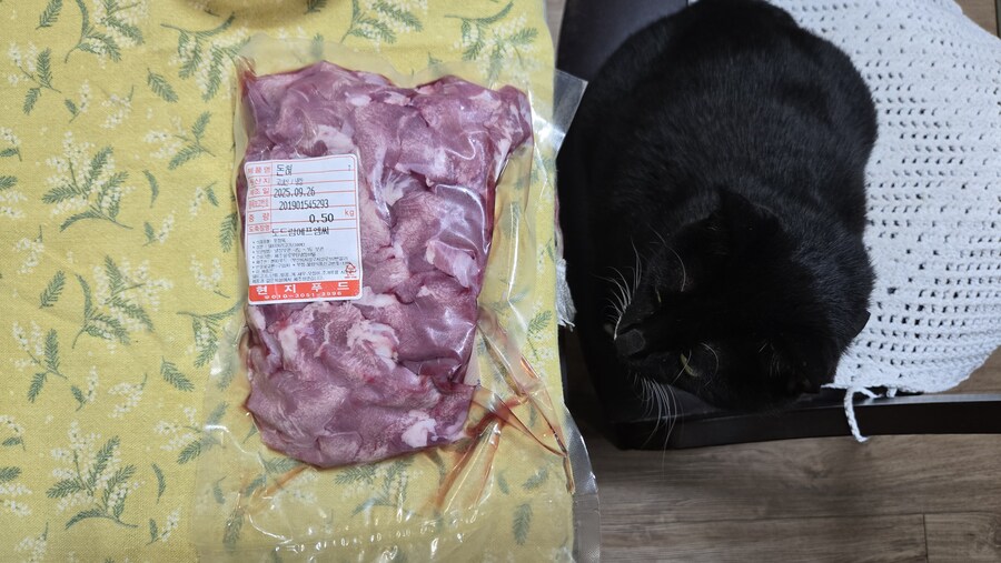 야옹이랑 먹는 양념돈설구이_3.jpg