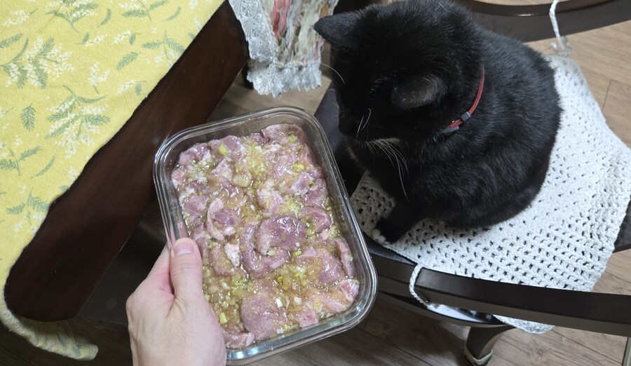 야옹이랑 먹는 양념돈설구이_25.jpg