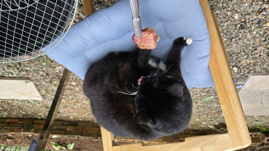 야옹이랑 먹는 양념돈설구이_37.jpg