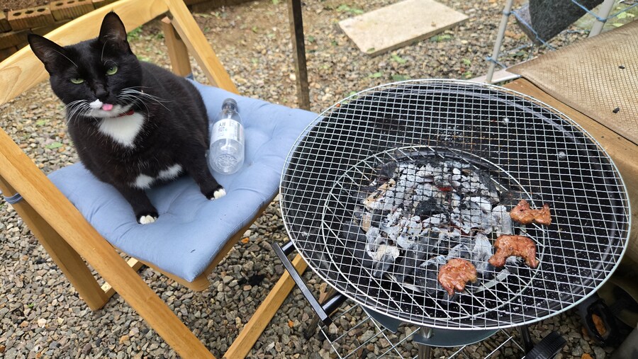 야옹이랑 먹는 양념돈설구이_45.jpg