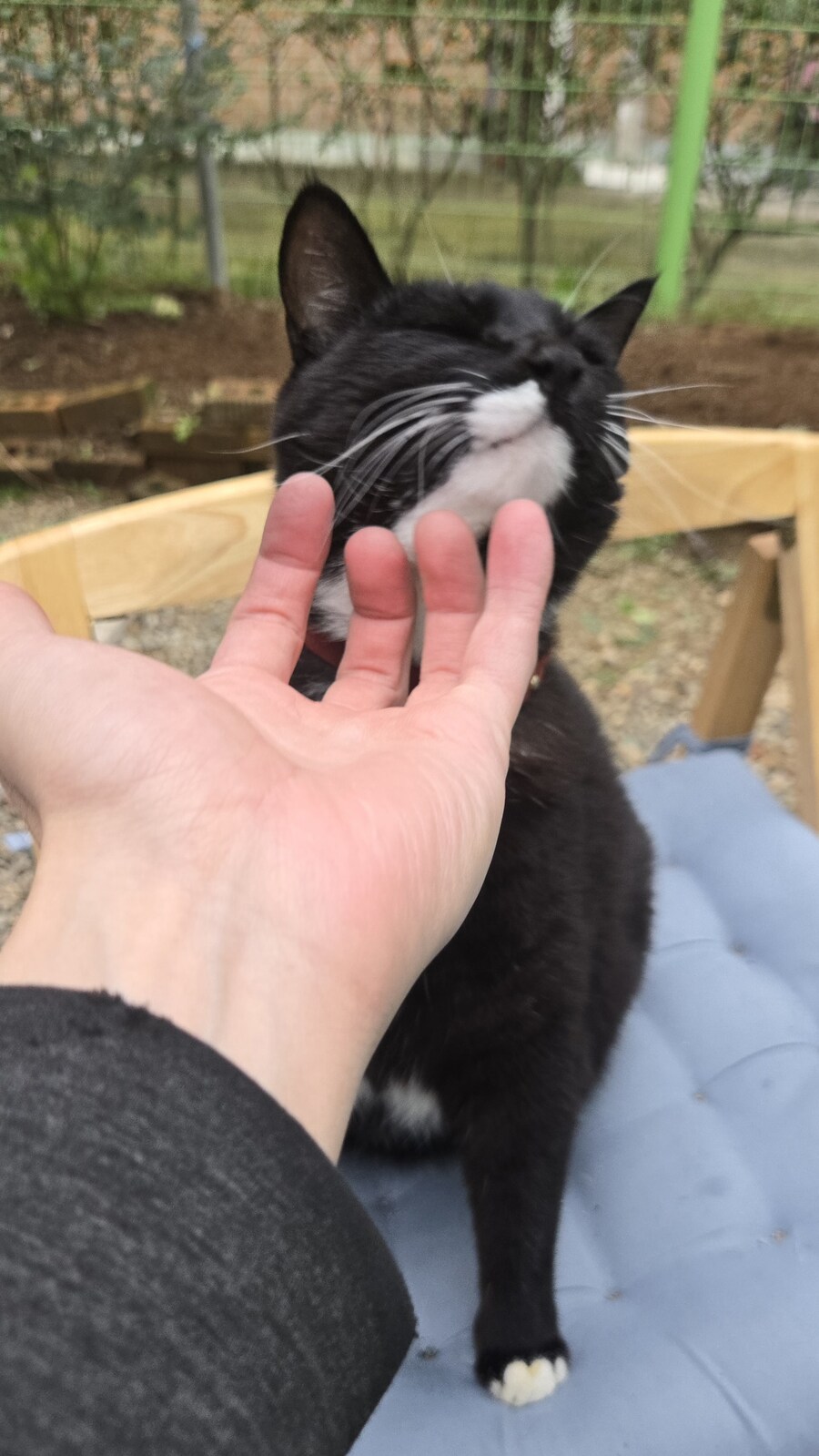 야옹이랑 먹는 양념돈설구이_46.jpg