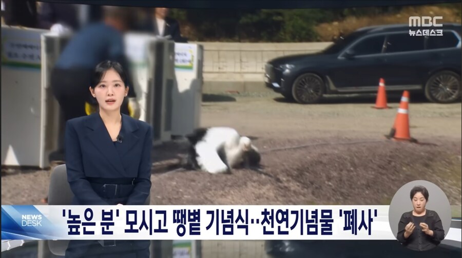 기념식 때문에 천연기념물 황새 폐사 시켜버린 김해시 레전드 ㅋㅋㅋㅋ_1.jpg