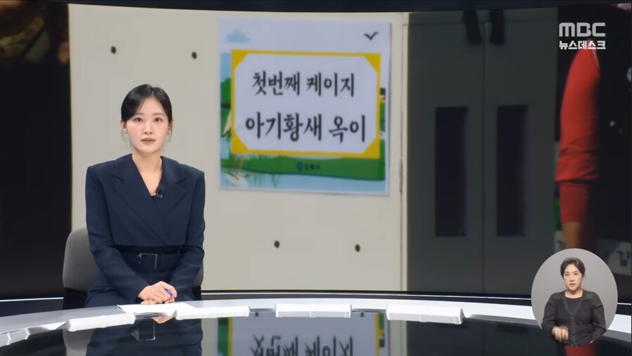 기념식 때문에 천연기념물 황새 폐사 시켜버린 김해시 레전드 ㅋㅋㅋㅋ_3.jpg