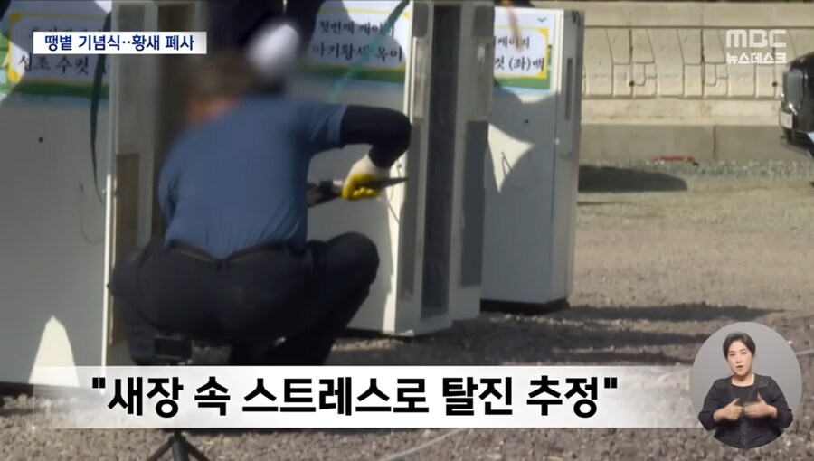 기념식 때문에 천연기념물 황새 폐사 시켜버린 김해시 레전드 ㅋㅋㅋㅋ_7.jpg