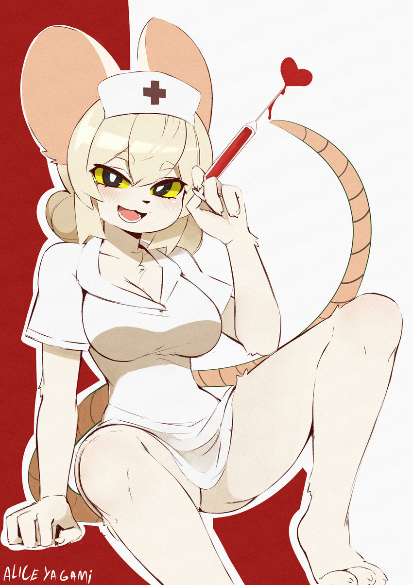 퍼리퍼리야_12.jpg