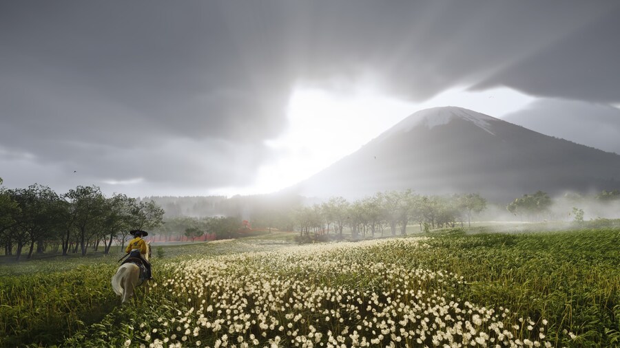 Ghost of Yōtei_7.jpg