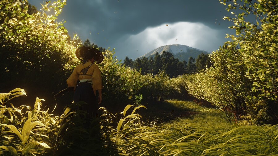 Ghost of Yōtei_11.jpg