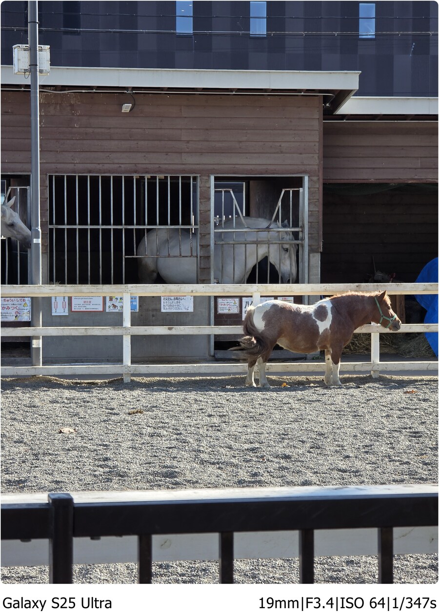 [스압]오비히로 여행기[10.1~10.5]3일차-거다이맥스 양갱과 우유에 미친자들_33.jpg