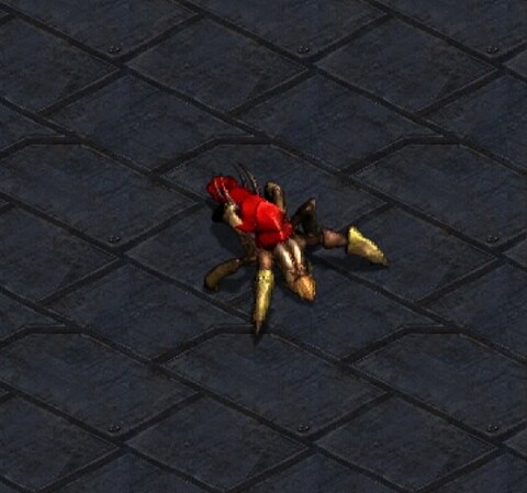 프로토스의 위대한 영웅 '피닉스'_1.jpg
