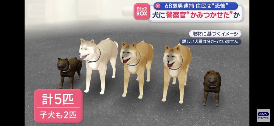 일본)개가 개를 키우는 개판인 상황_1.jpg
